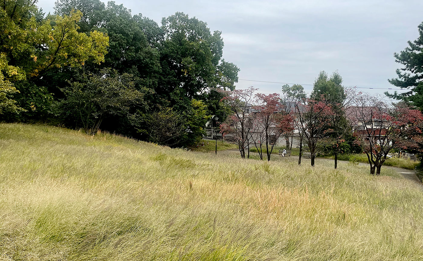 新石川公園