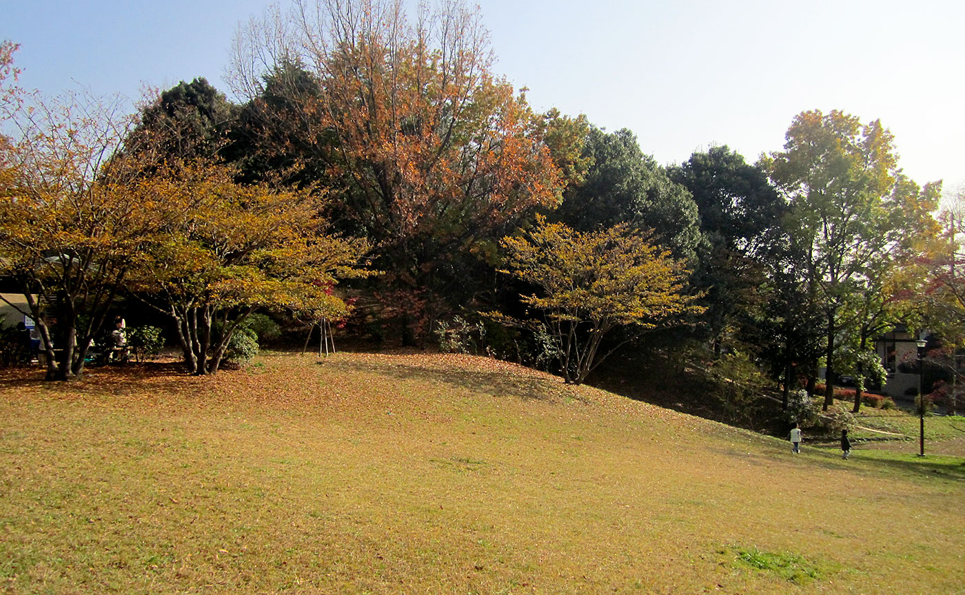 新石川公園