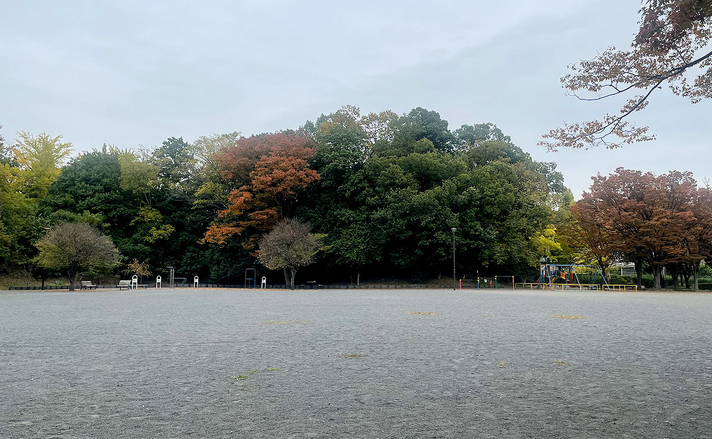 泉天ヶ谷公園