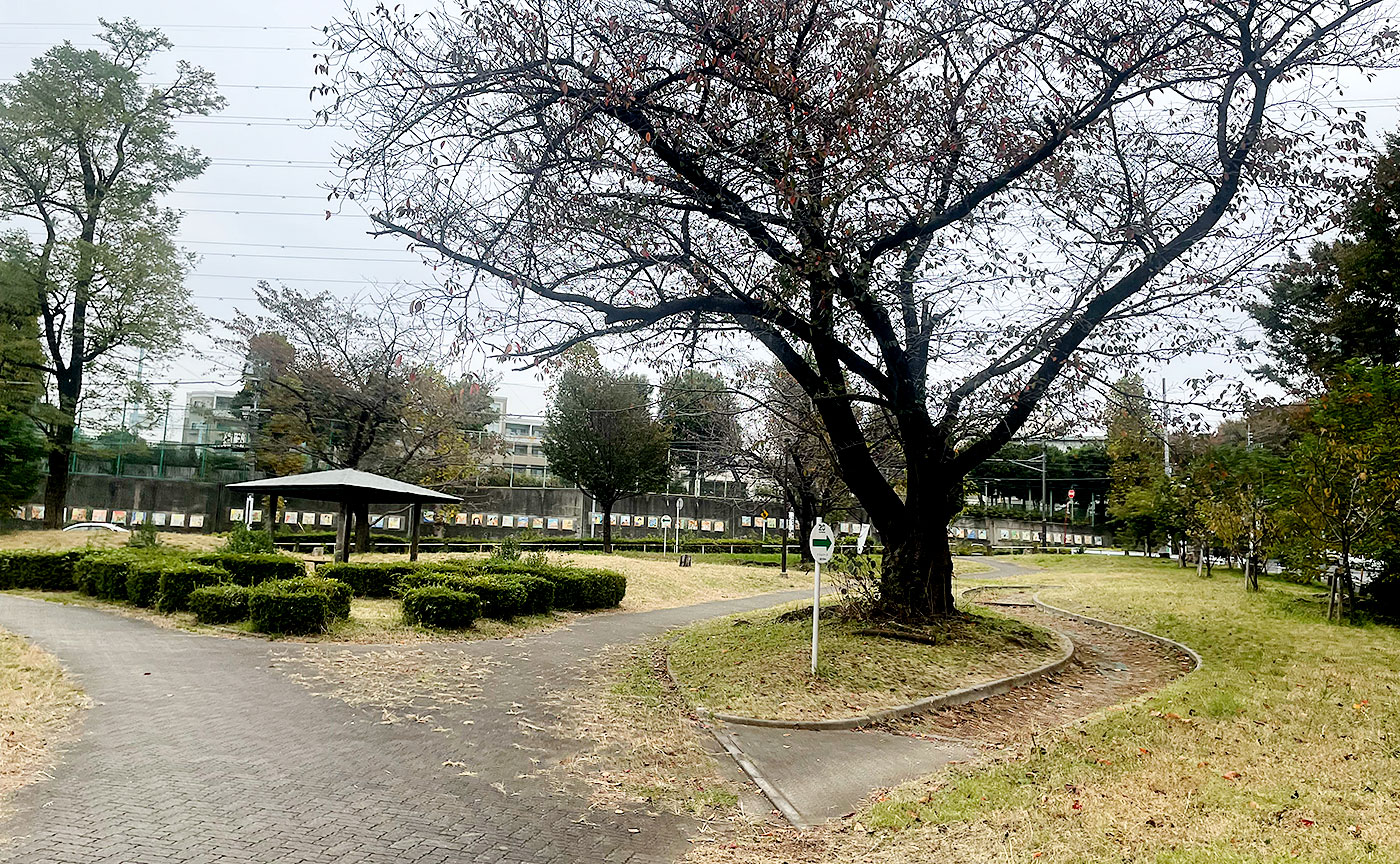 美しが丘公園