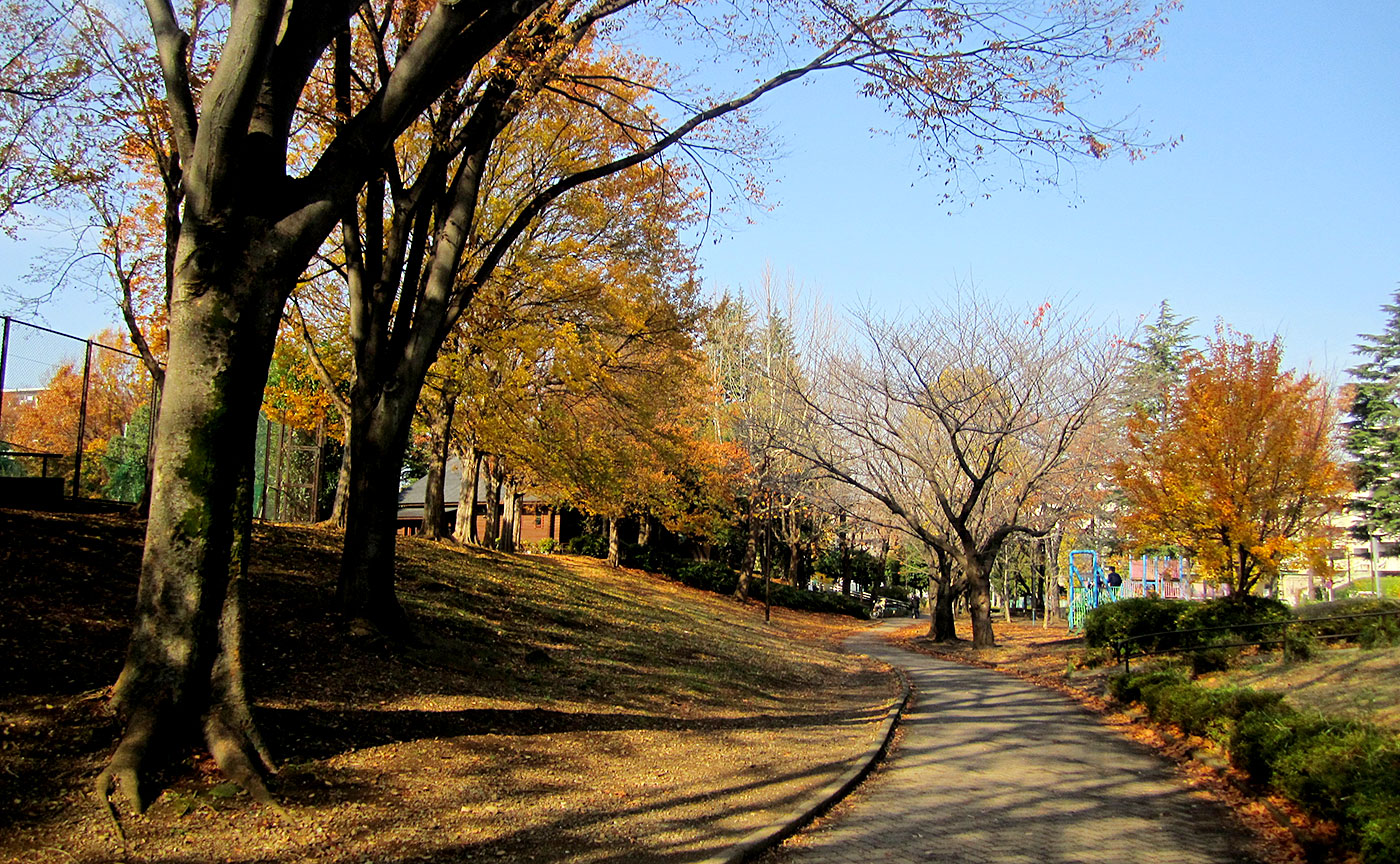 美しが丘公園