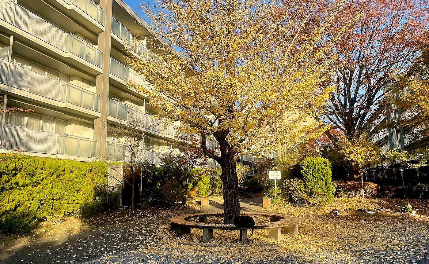 百合丘2丁目公園