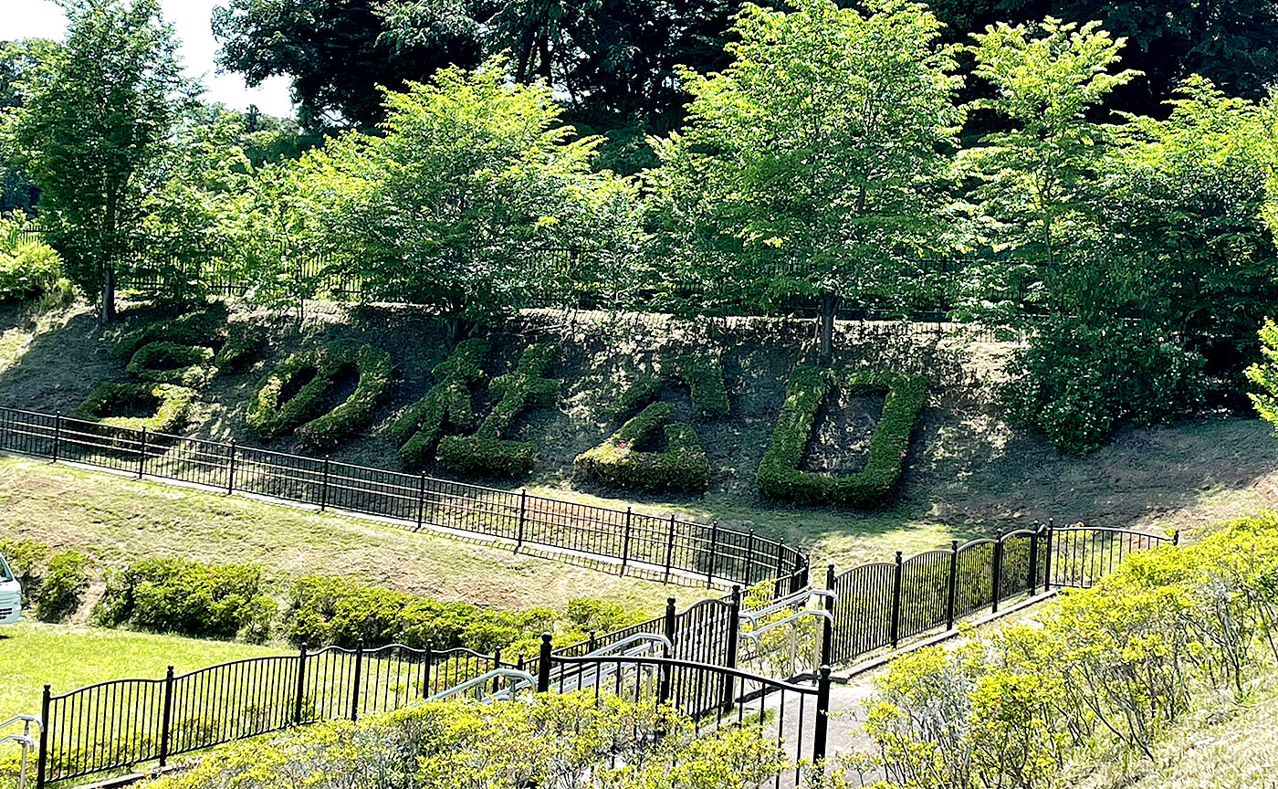 宮の杜公園