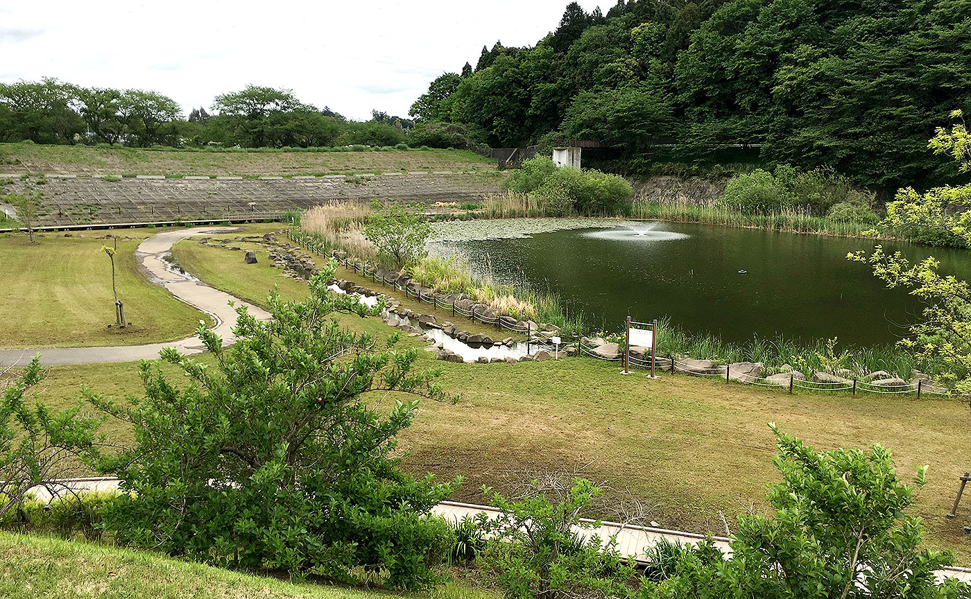 宮の杜公園