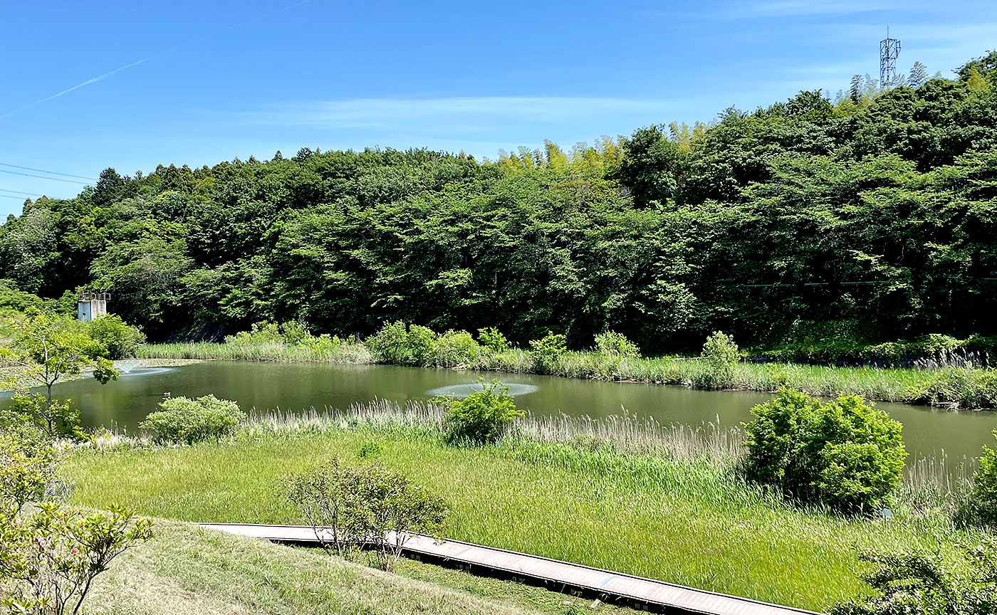 宮の杜公園