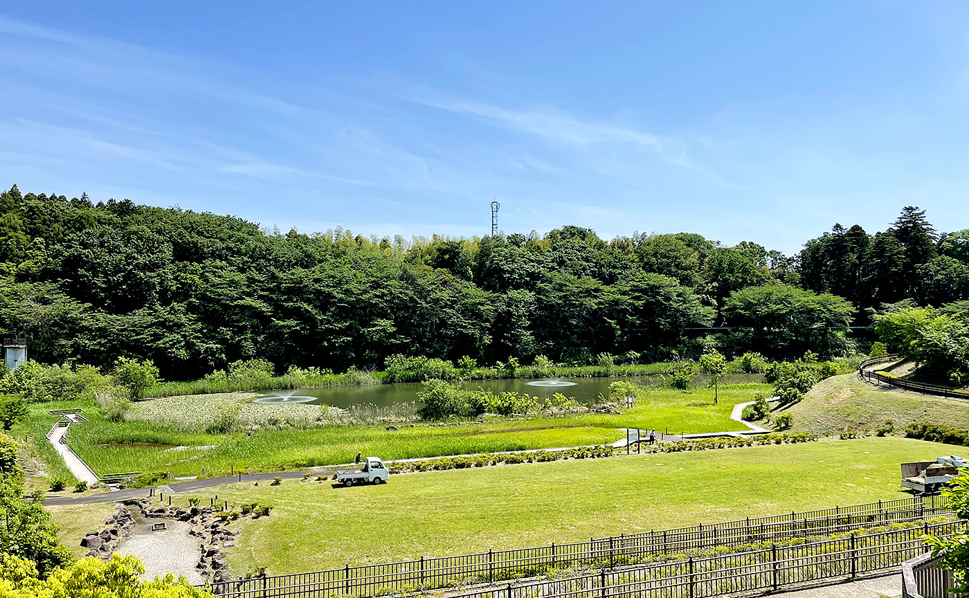 宮の杜公園