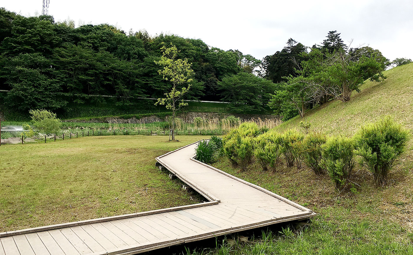 宮の杜公園