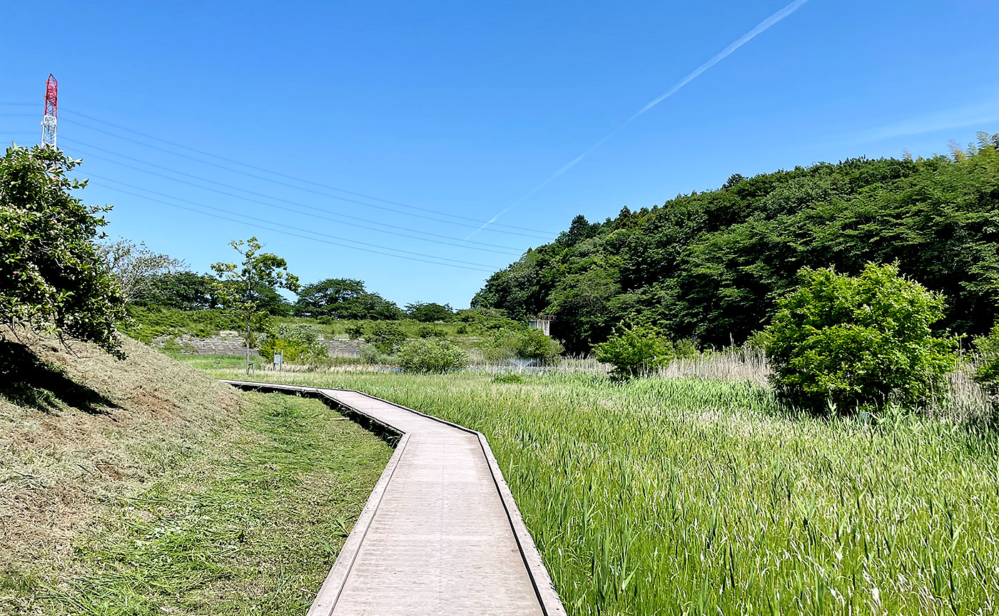 宮の杜公園