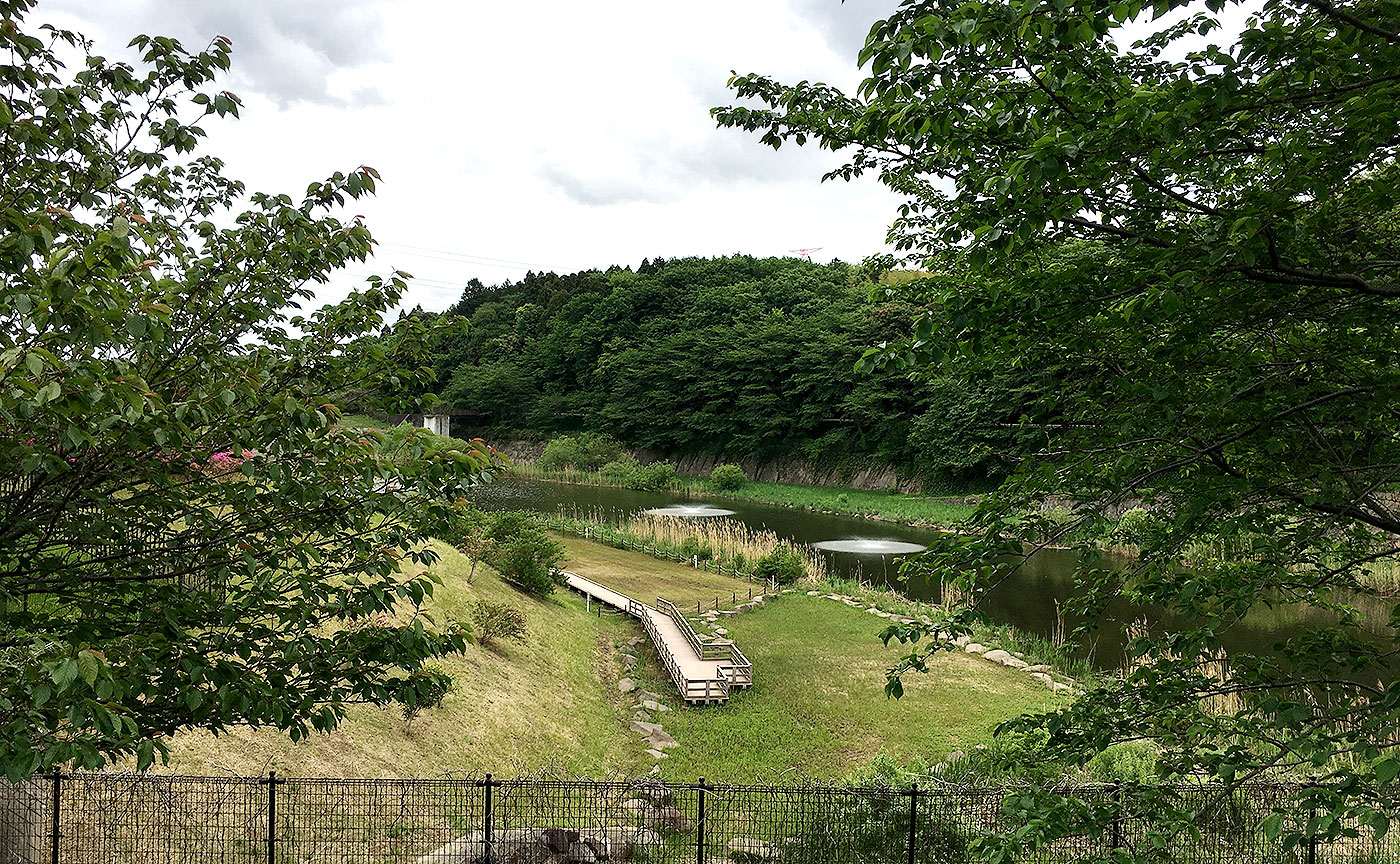 宮の杜公園