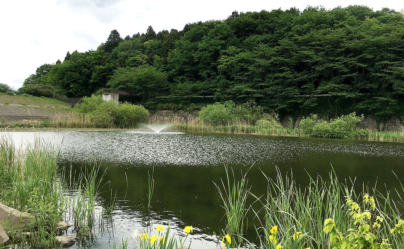 宮の杜公園