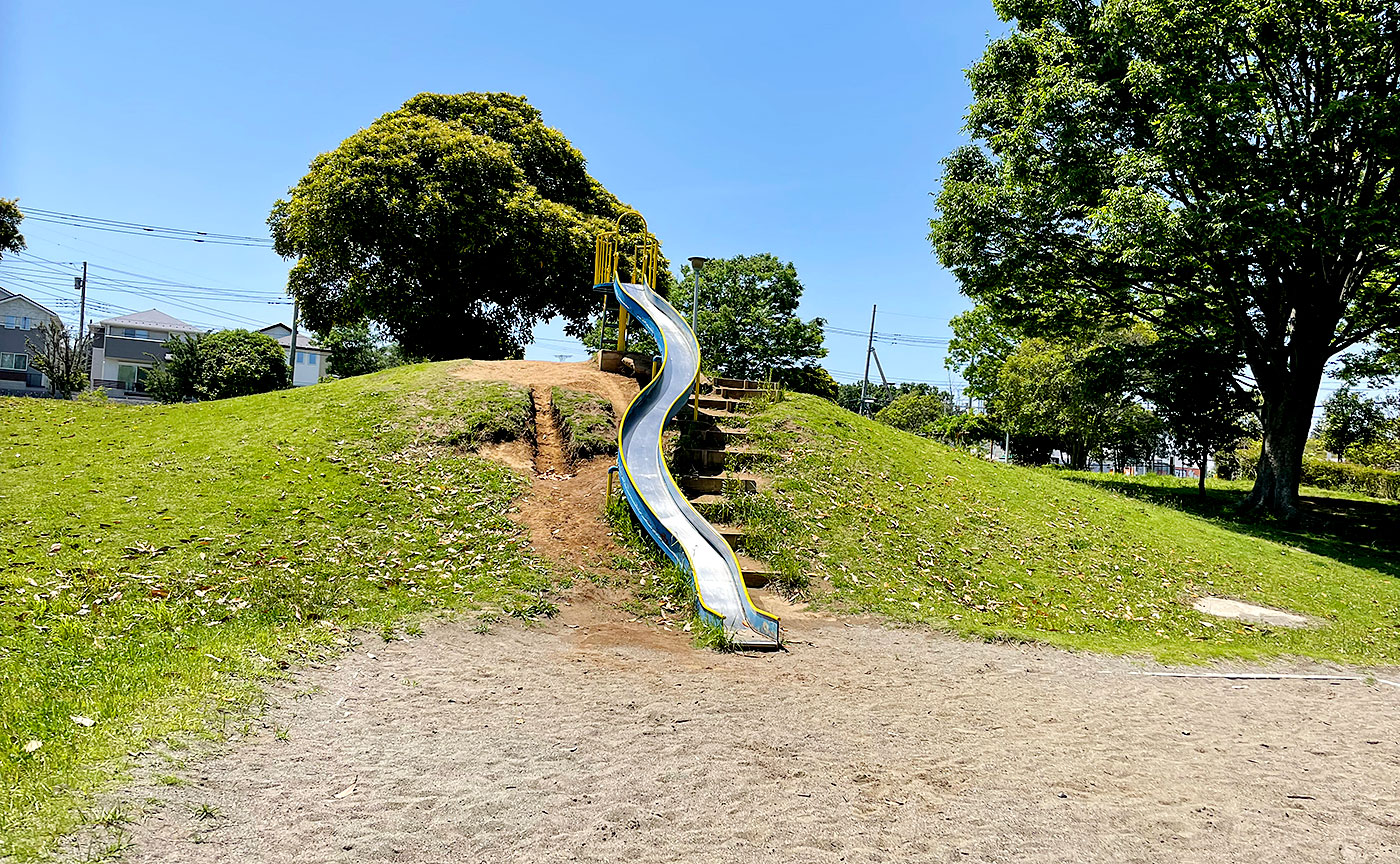 井野西谷津公園