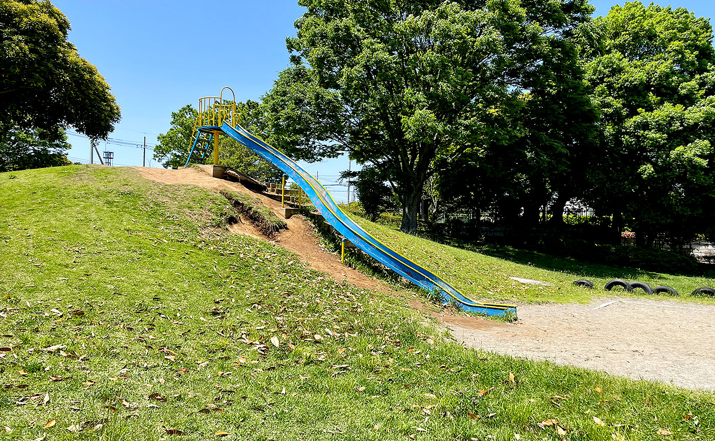 井野西谷津公園