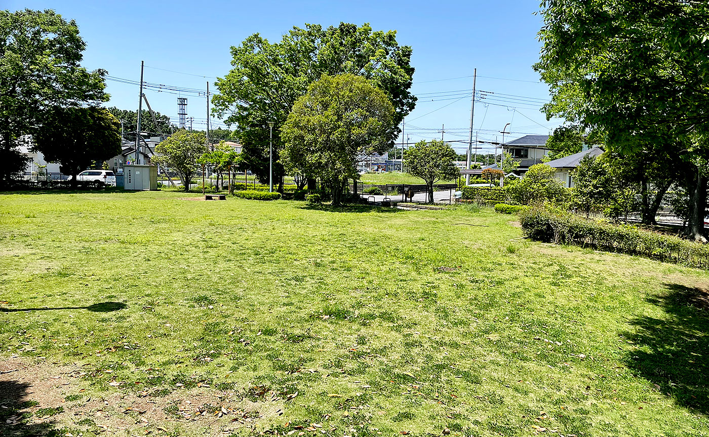 井野西谷津公園