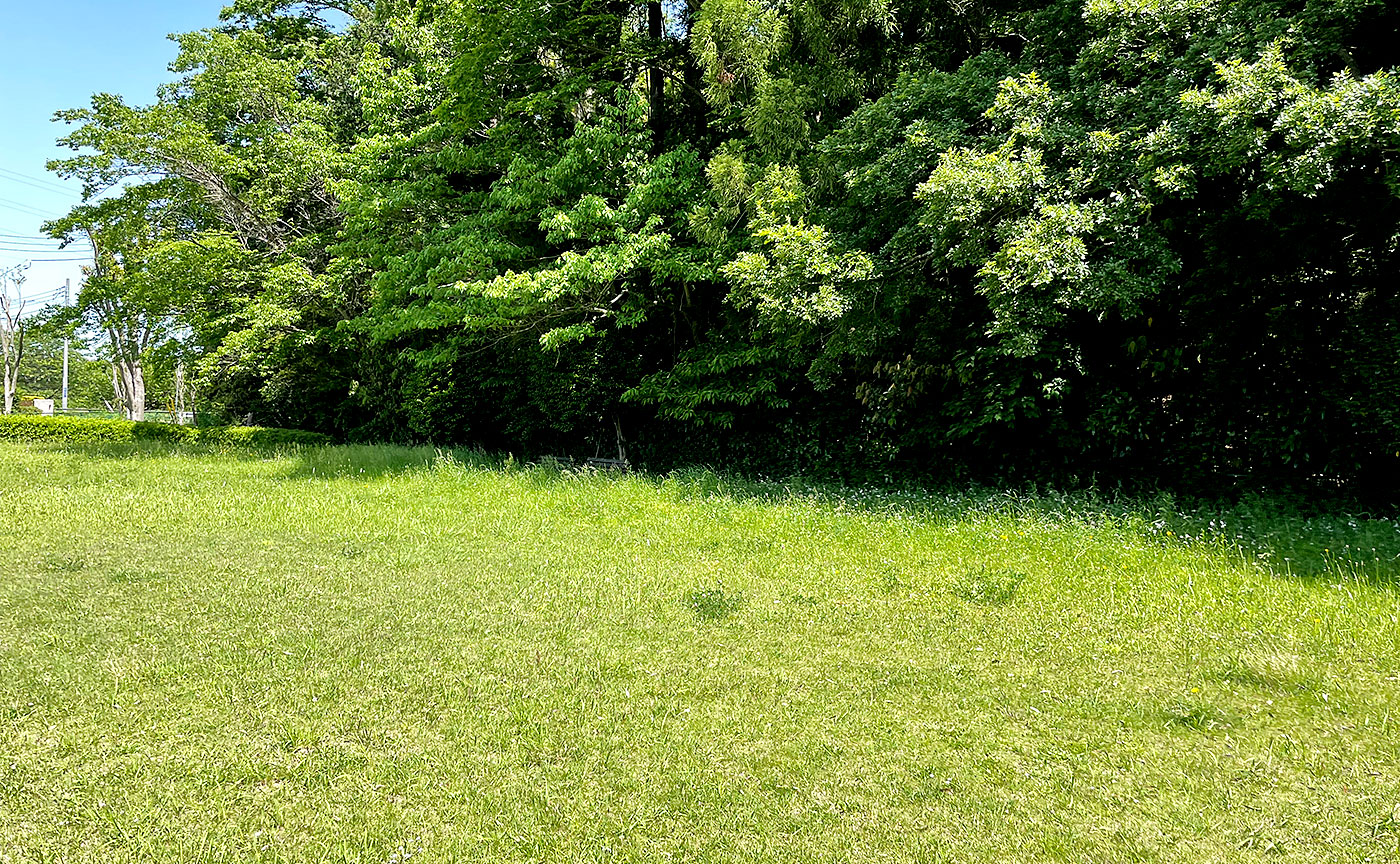 子ノ神公園