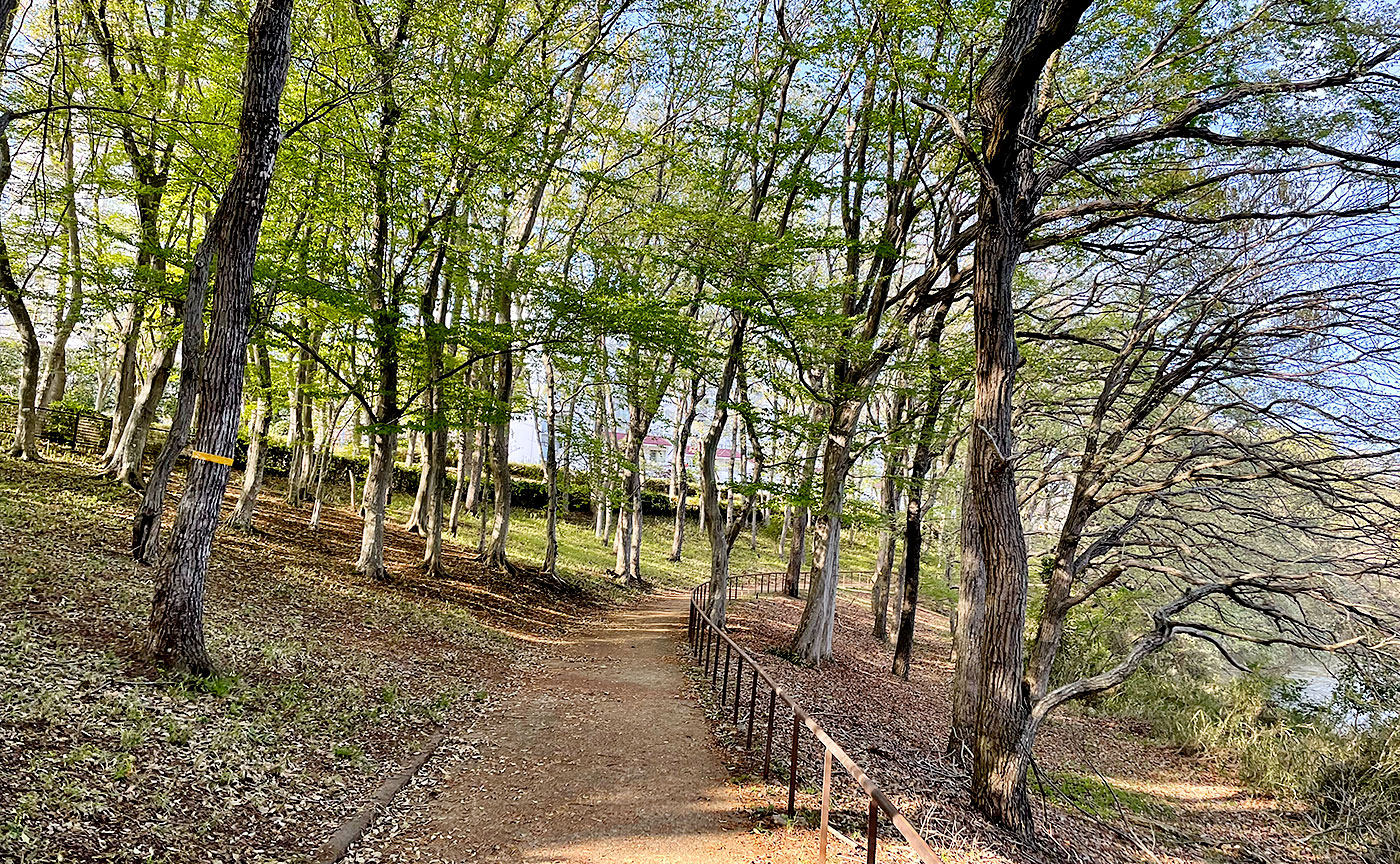 南山公園