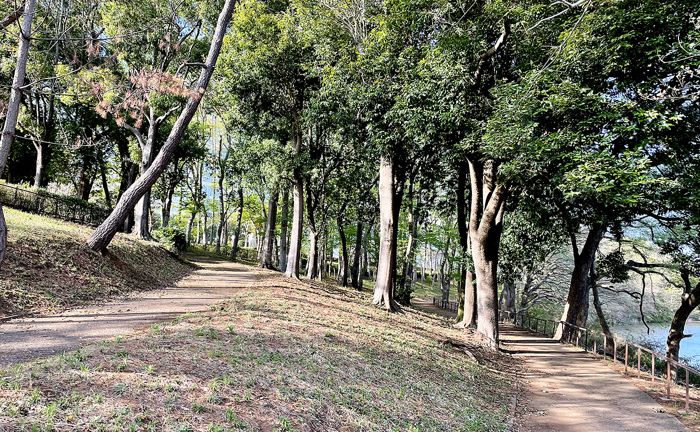 南山公園