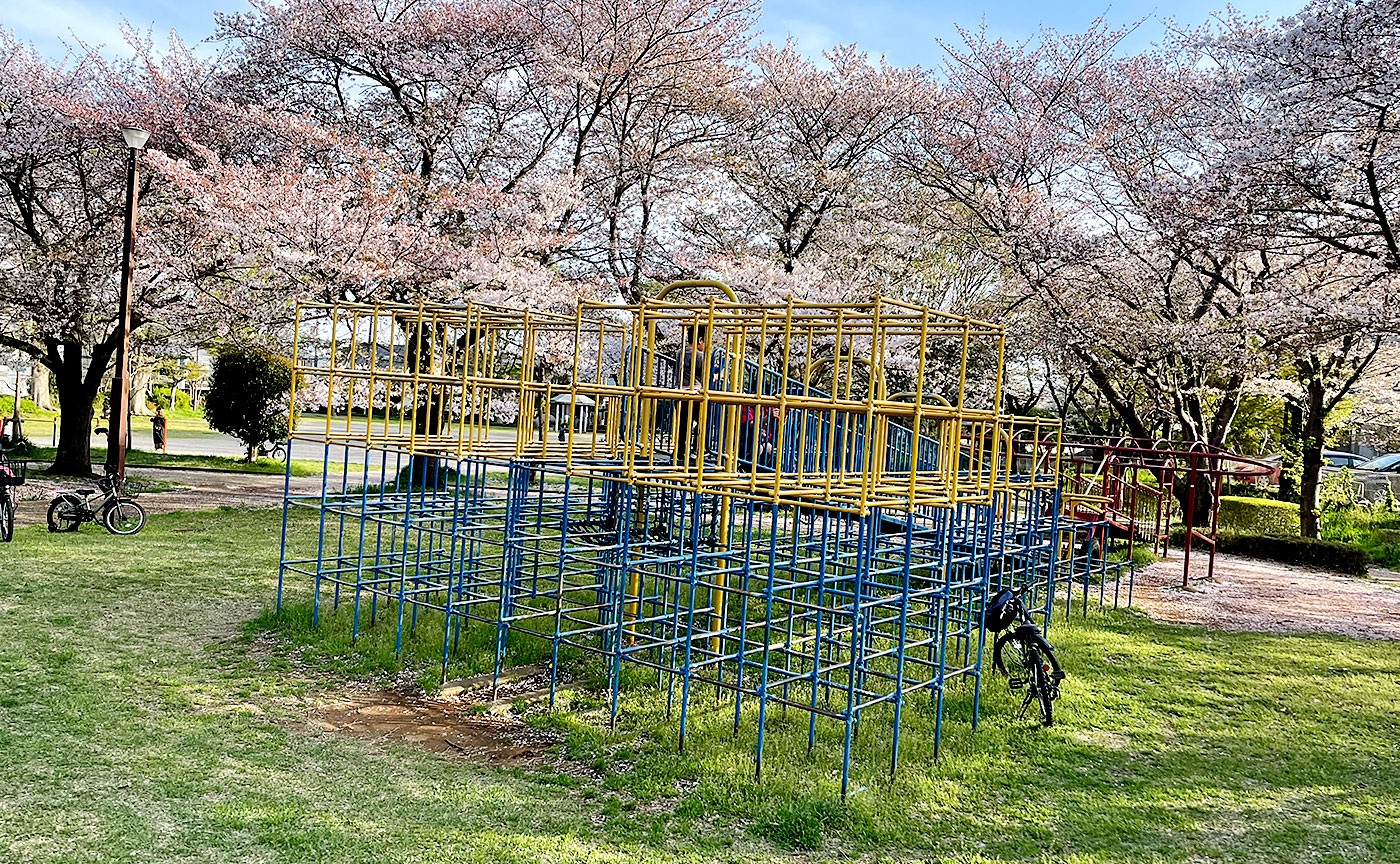 白井木戸公園