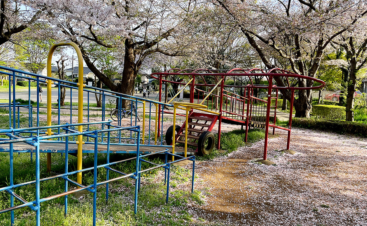 白井木戸公園