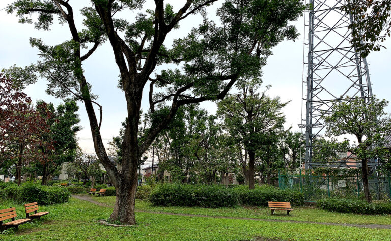 府中と調布の公園探訪