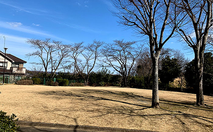 霞が丘公園