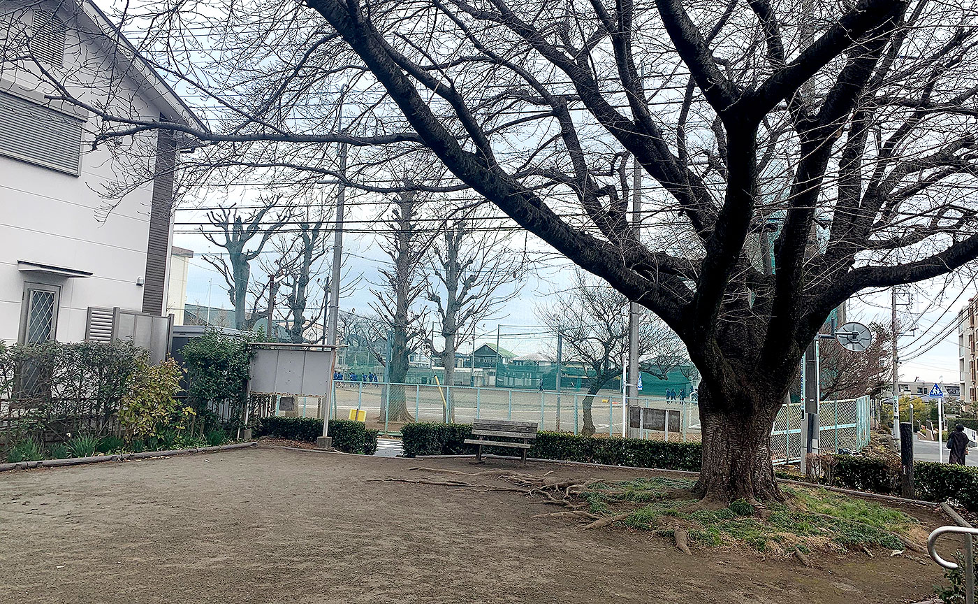 朝日ヶ丘中公園