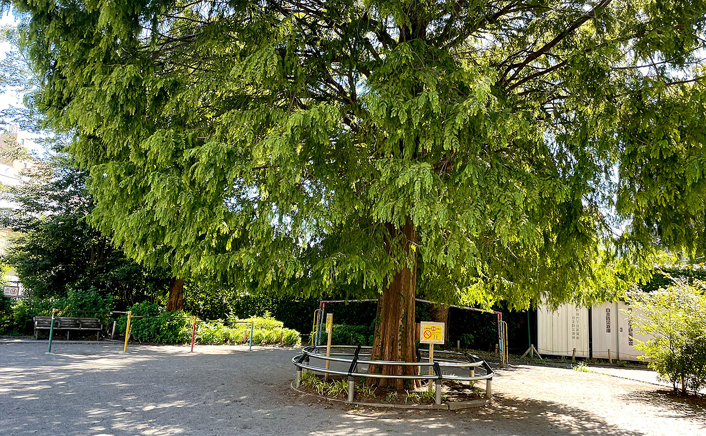 原町田わかば公園