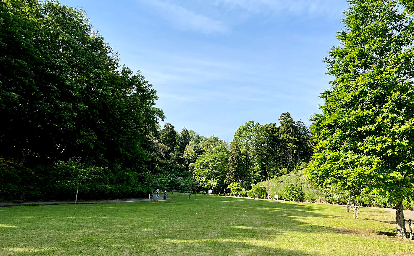 相原中央公園