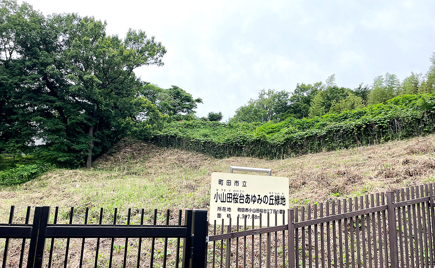 上小山田あゆみの丘公園