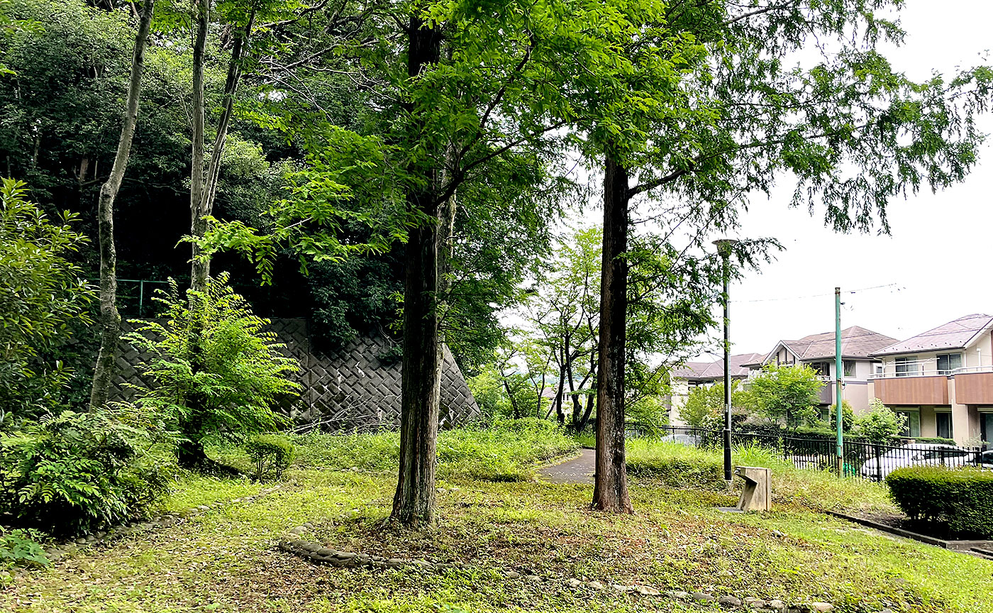 野津田野鳥児童公園