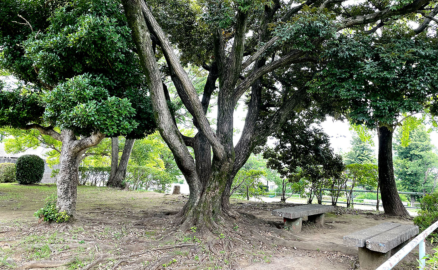 鶴川月の子児童公園