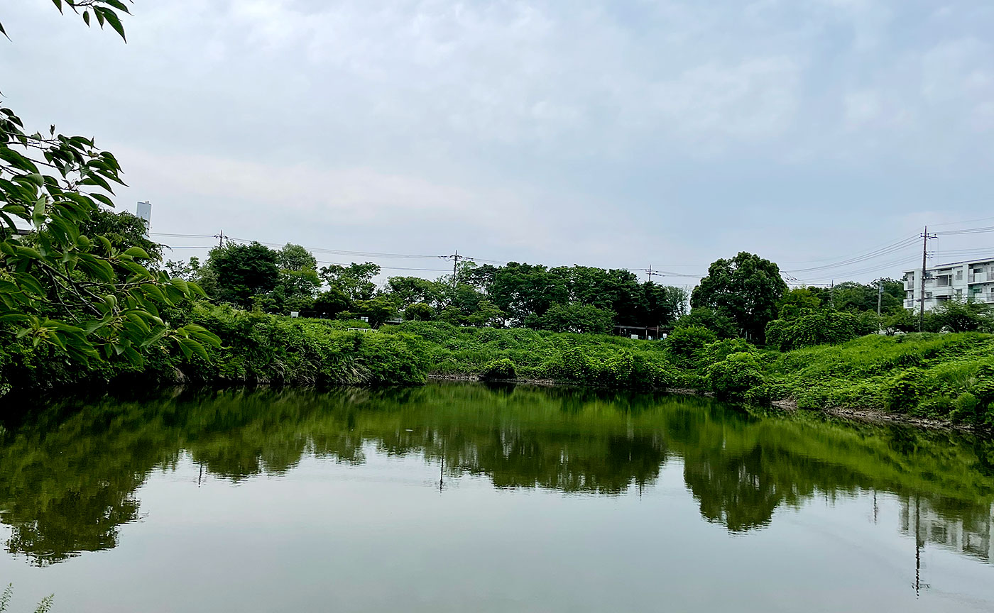 小山田桜台児童公園