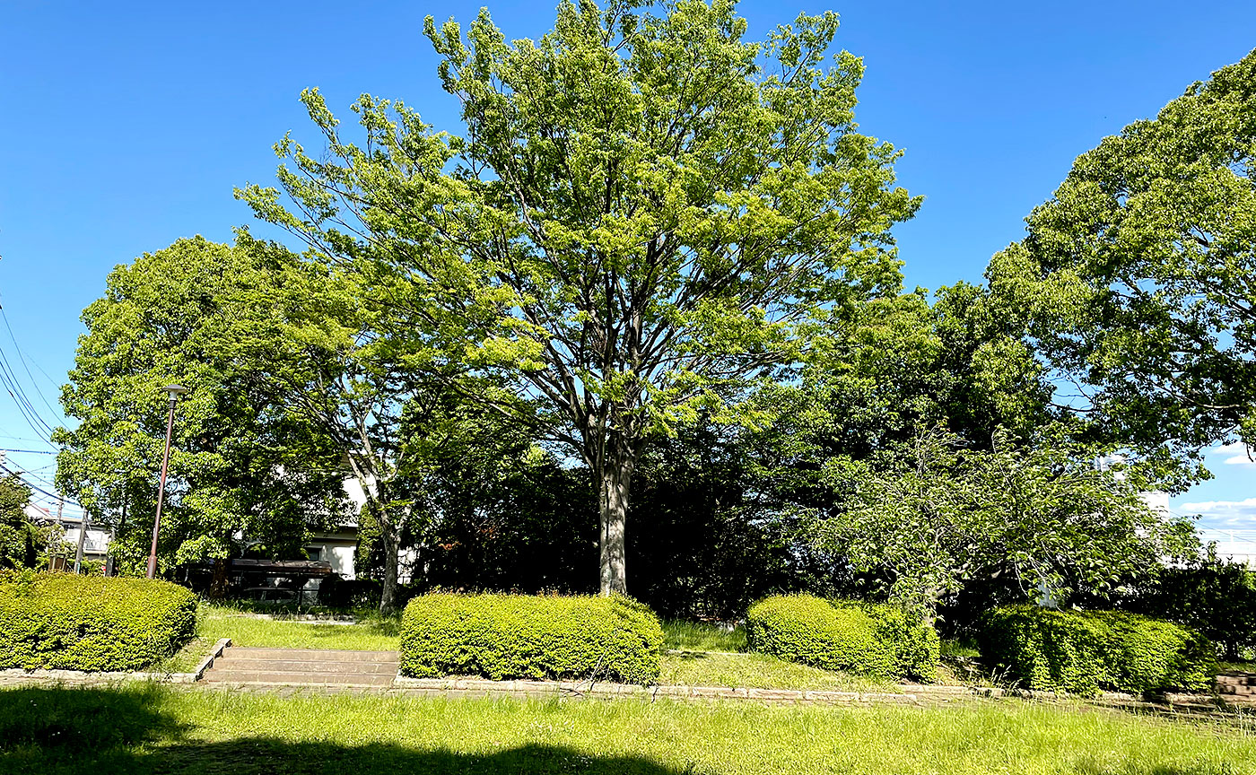 能ヶ谷町平和台第1児童公園