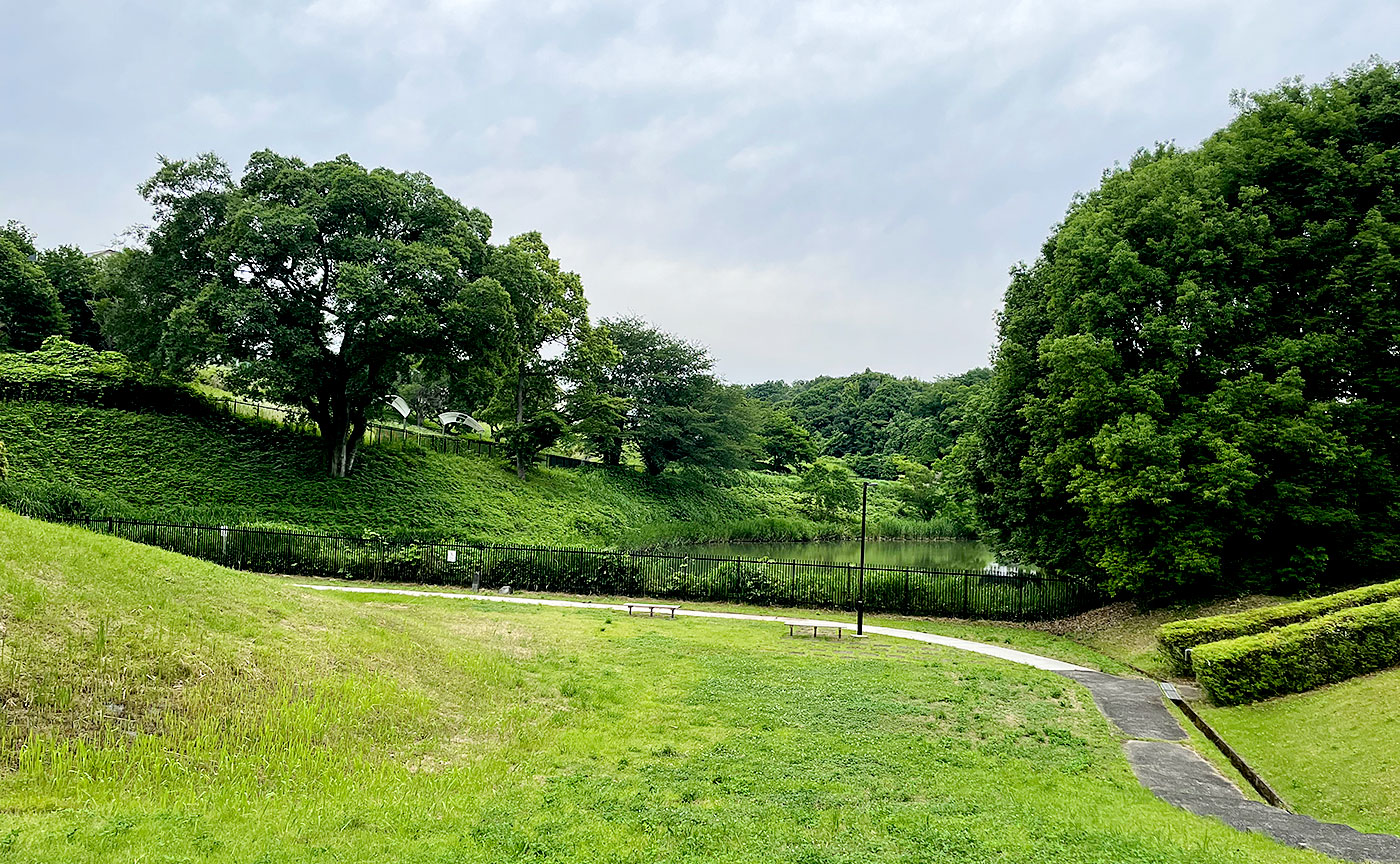 小山田桜台こぶし公園