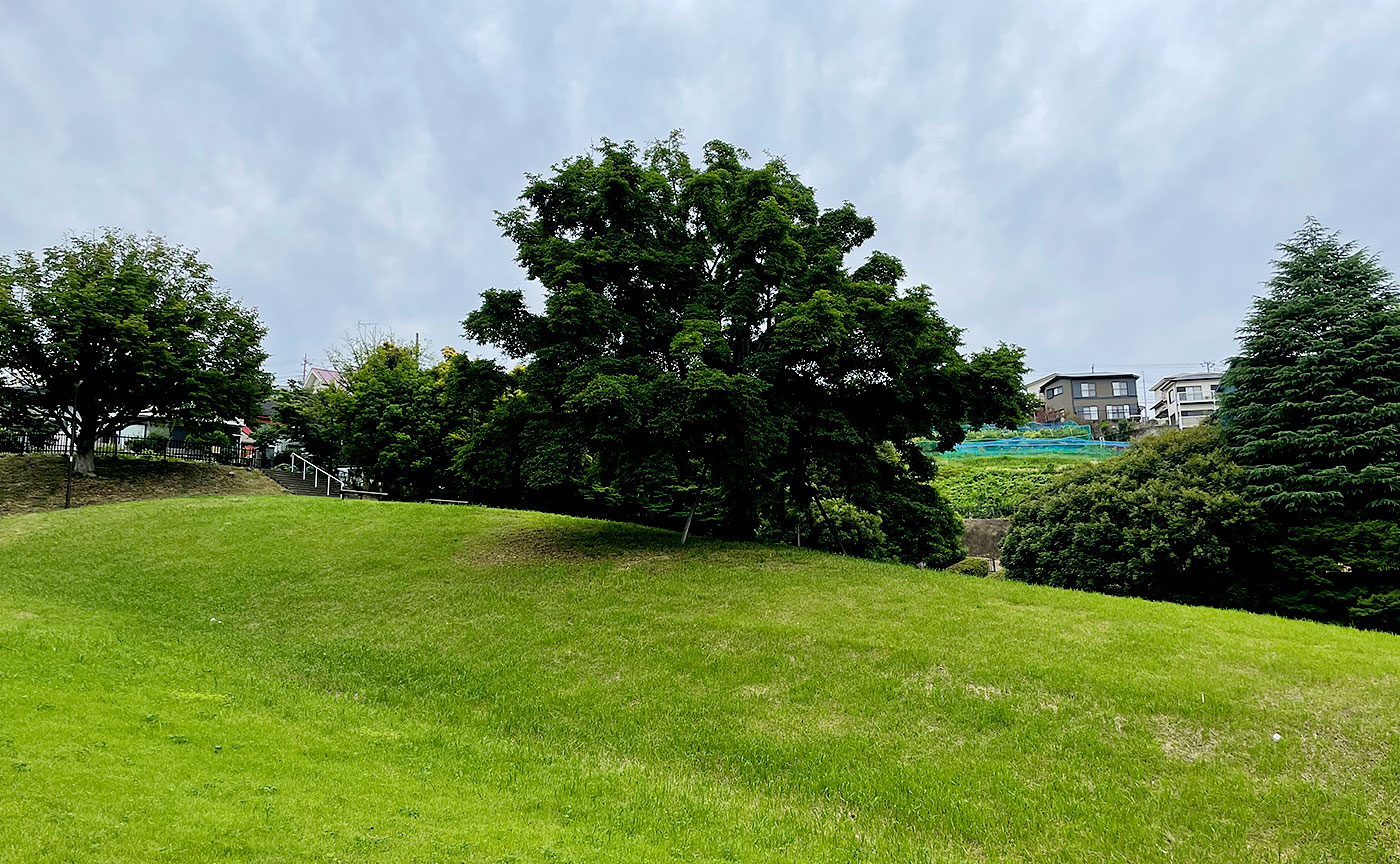 小山田桜台こぶし公園