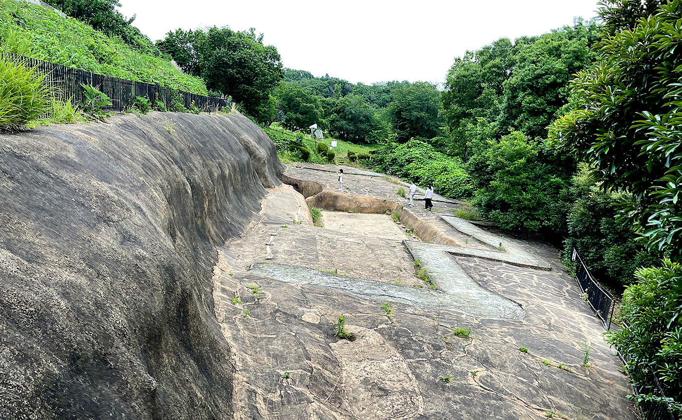 小山田桜台こぶし公園