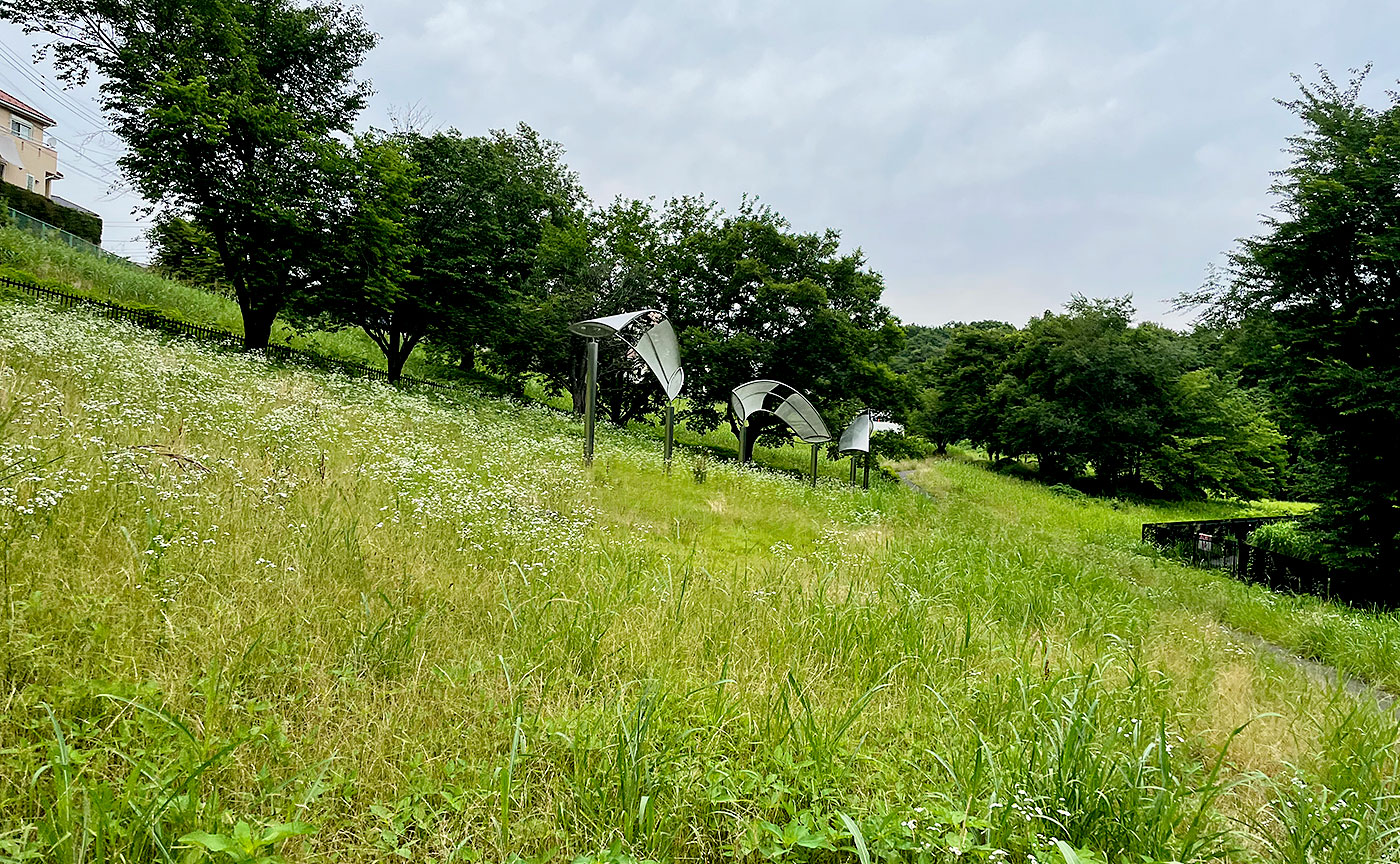 小山田桜台こぶし公園