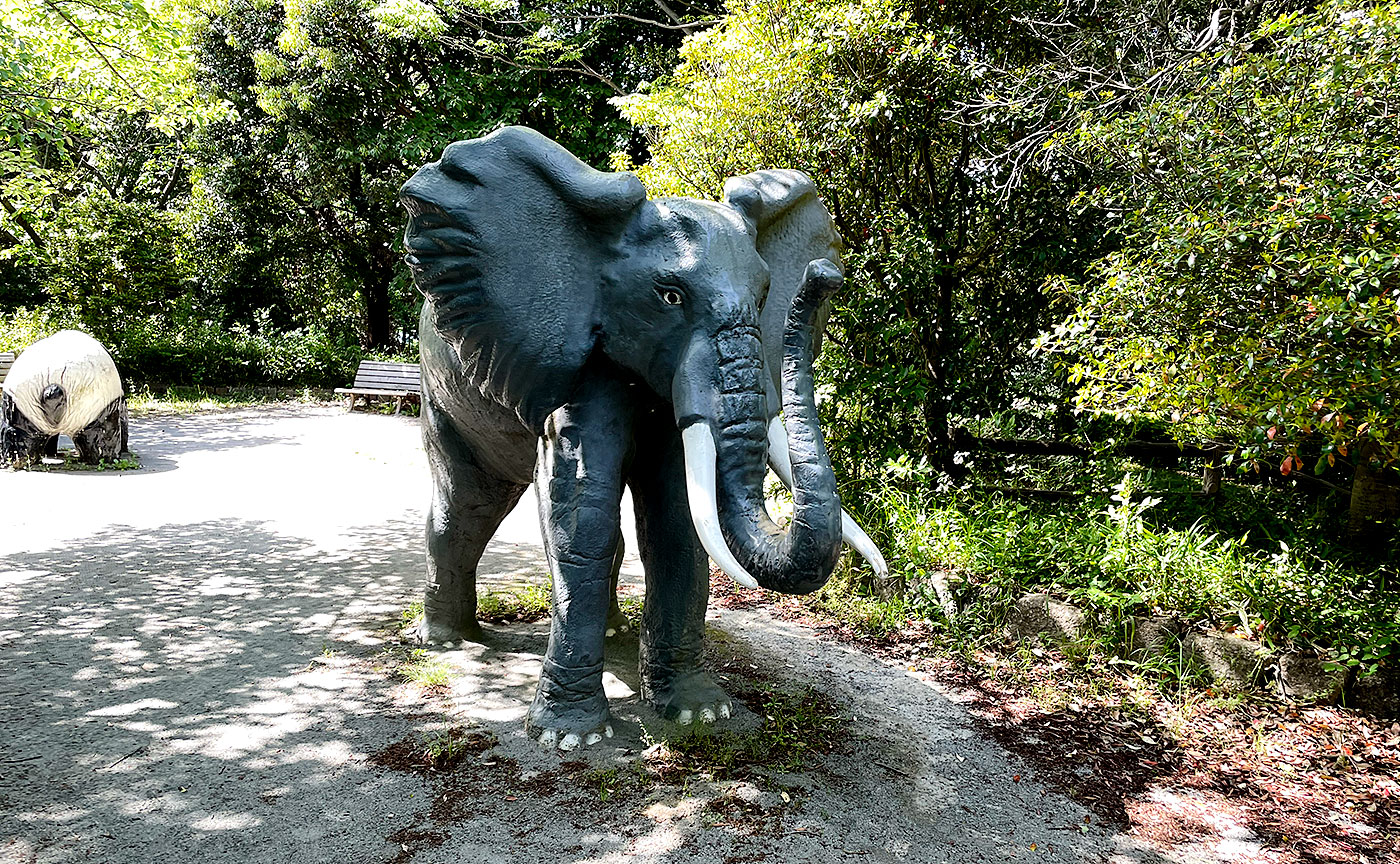 三輪さくら通り公園