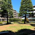 世田谷区の公園