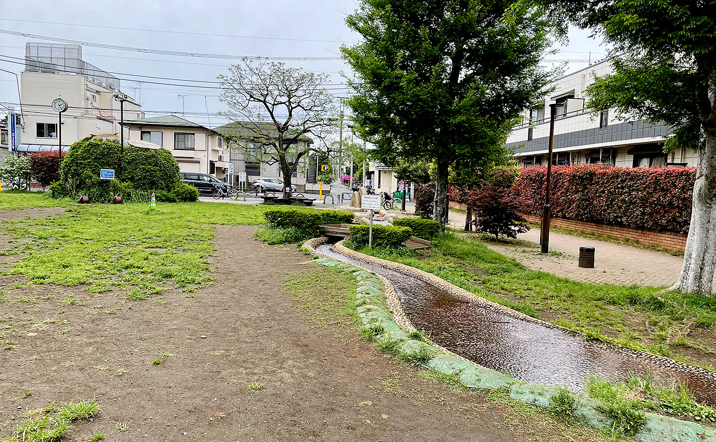 ねこじゃらし公園