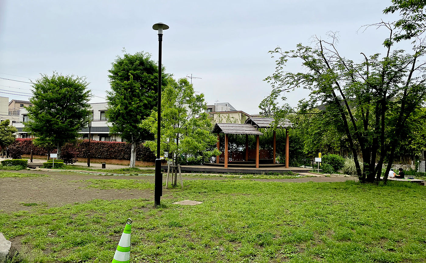 ねこじゃらし公園