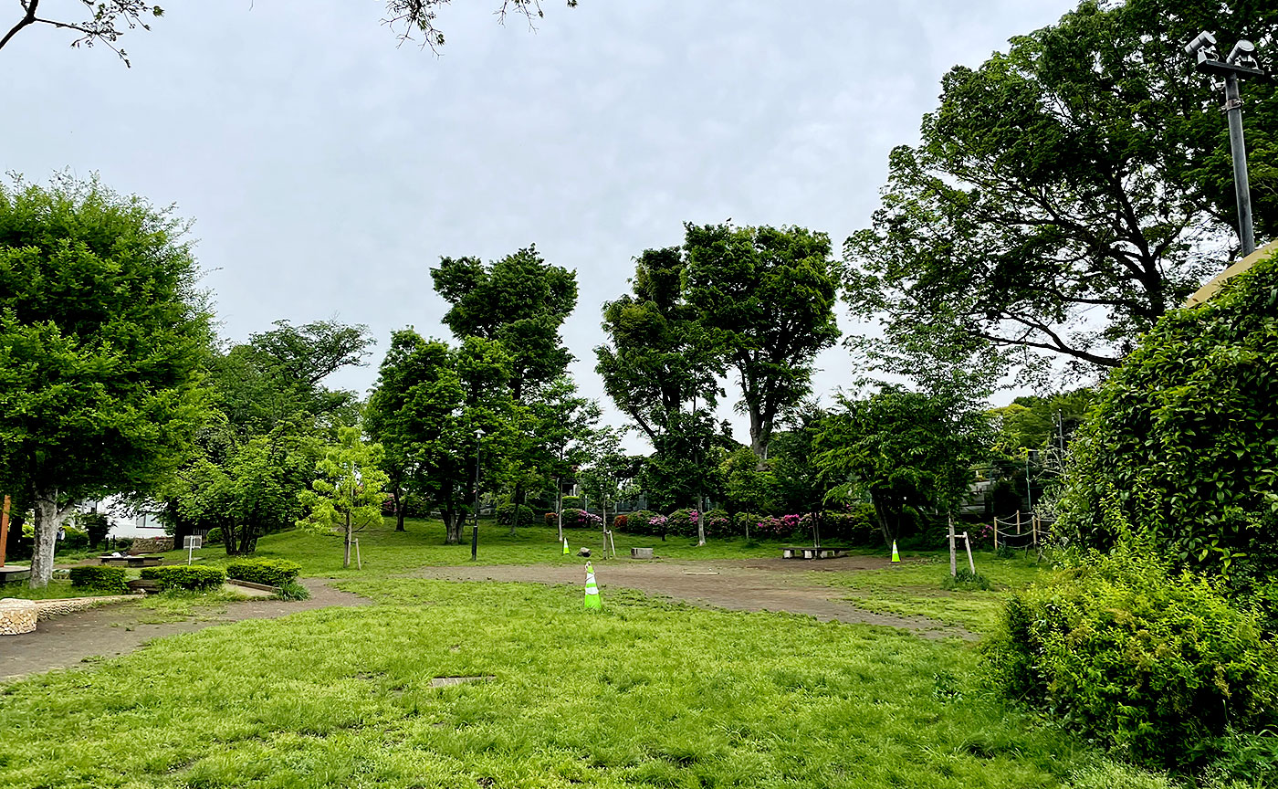 ねこじゃらし公園