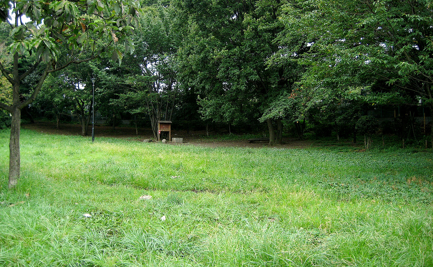 ねこじゃらし公園