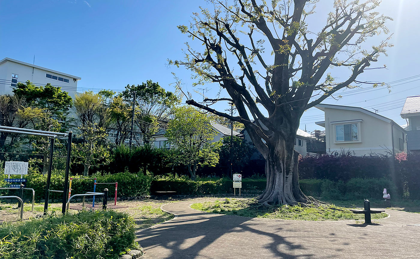 北烏山えのき公園