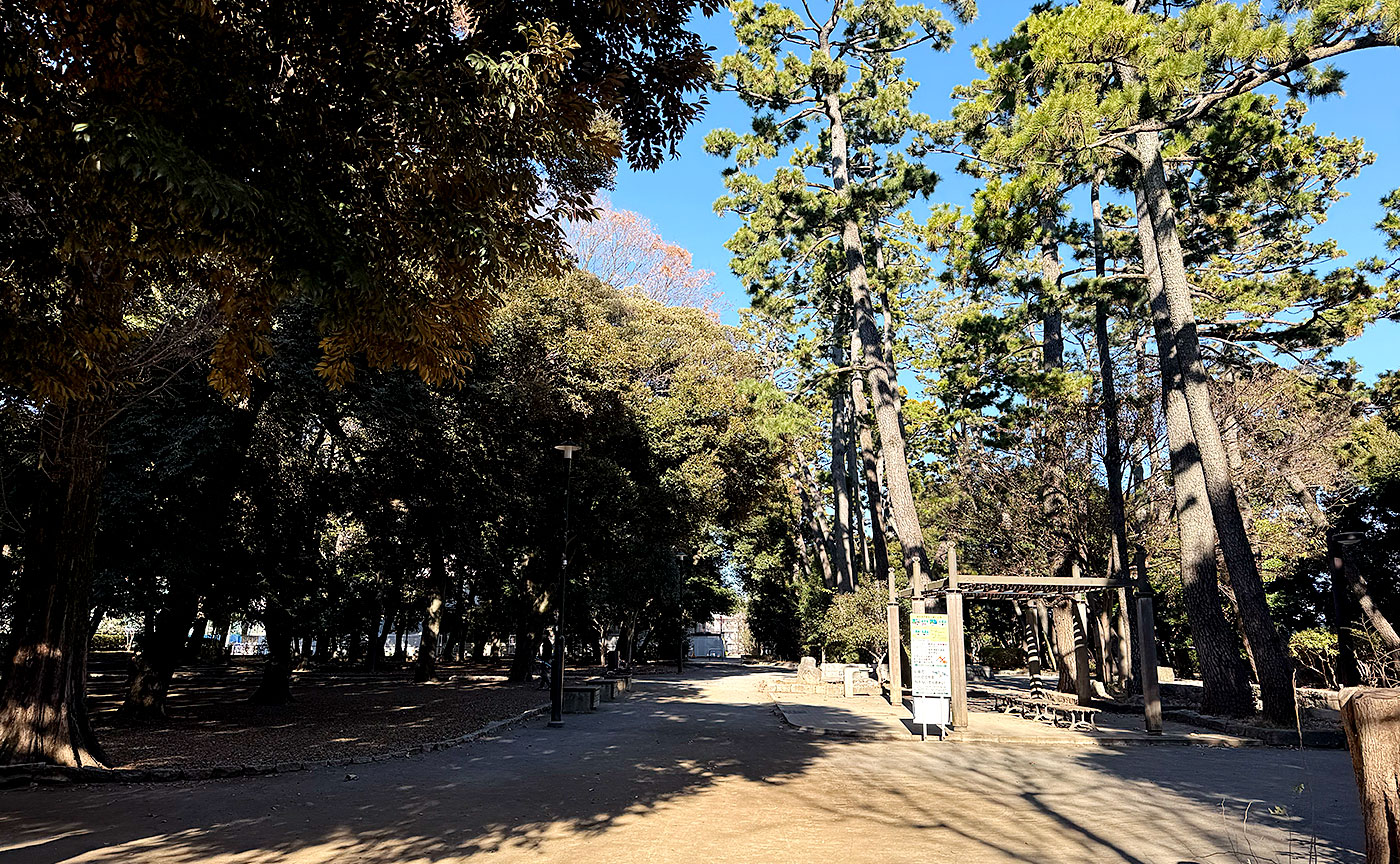 若林公園