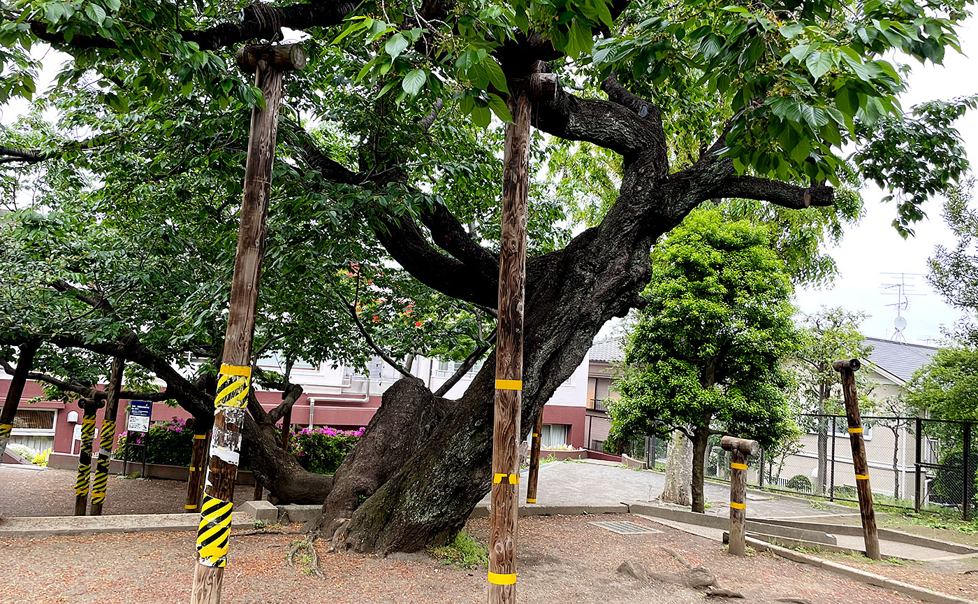 世田谷区公園探訪