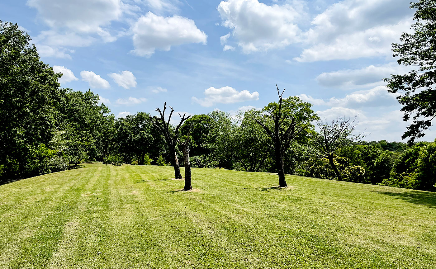 多摩市の公園