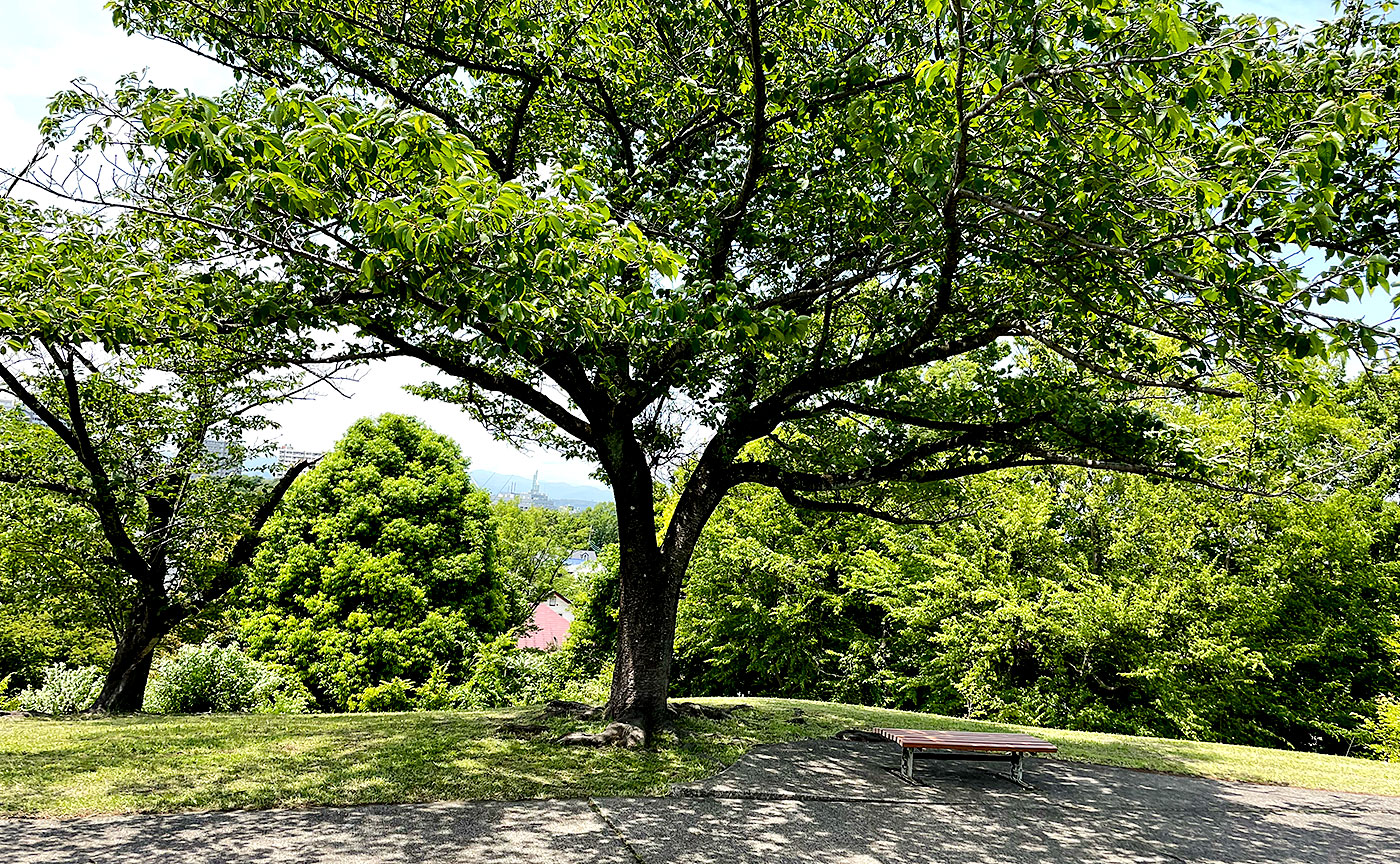 馬引沢南公園