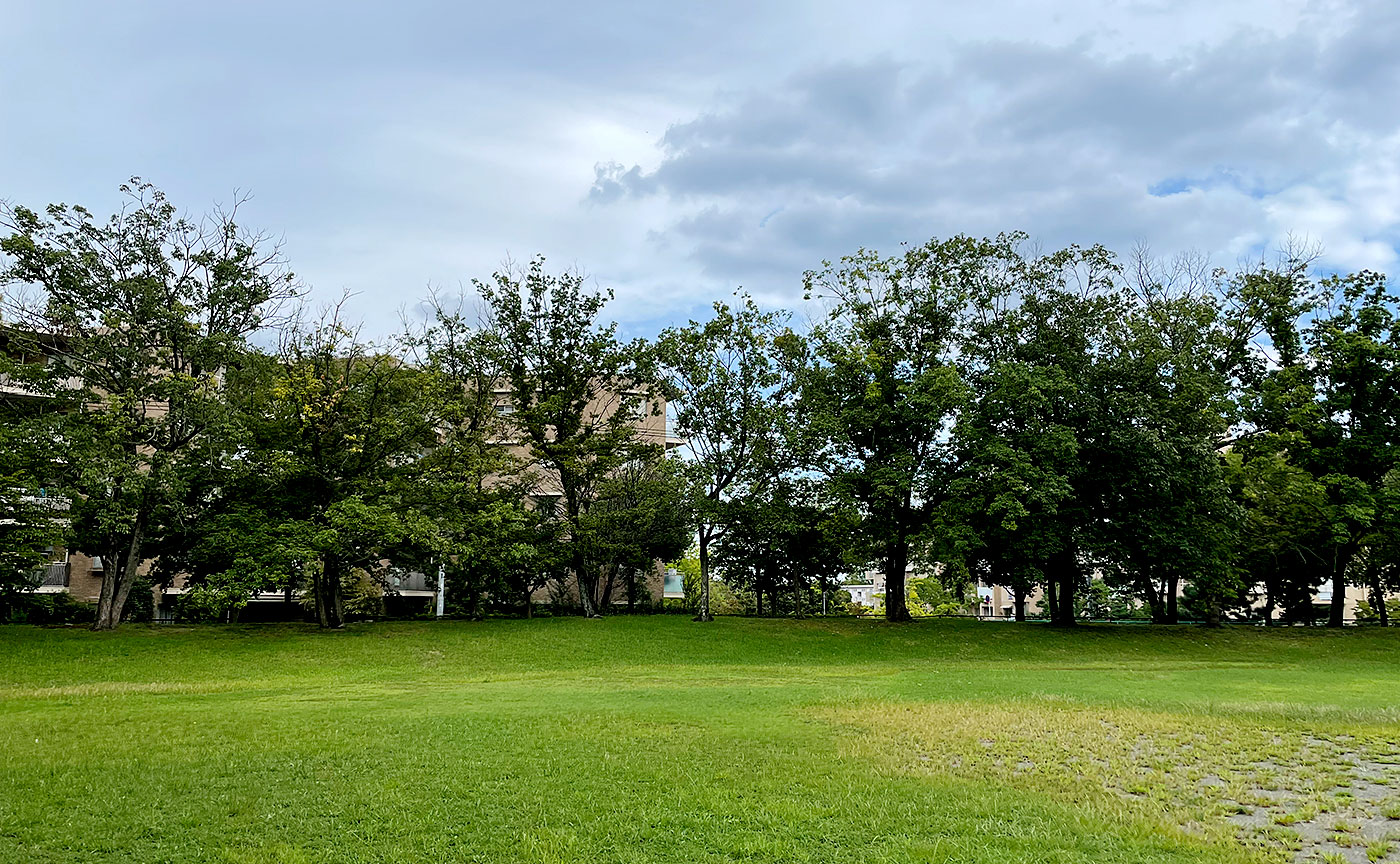 豊ヶ丘第八公園