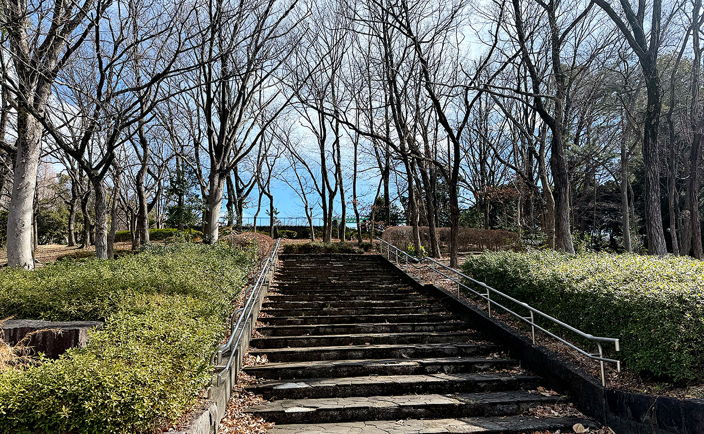 諏訪南公園