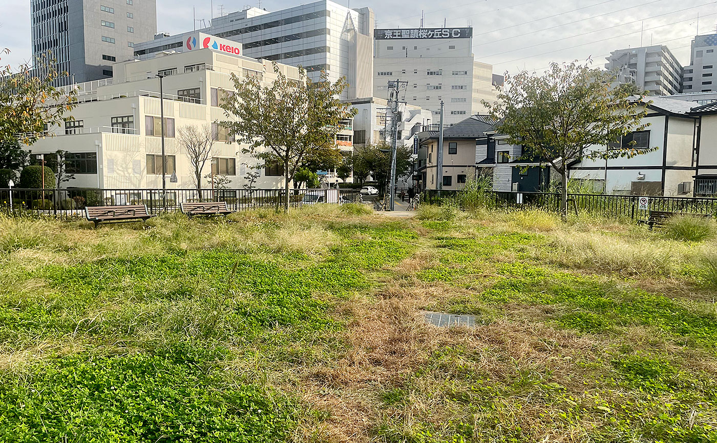 せいせき公園